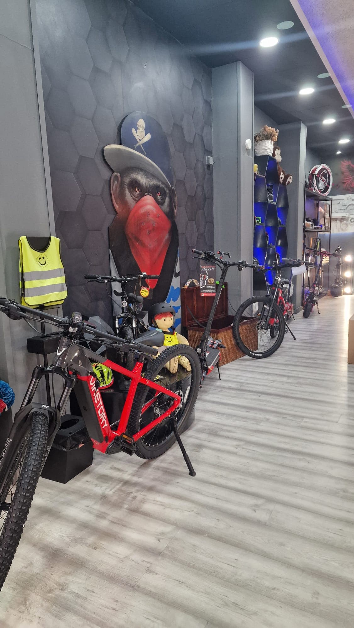 Dualtron Mini Limited