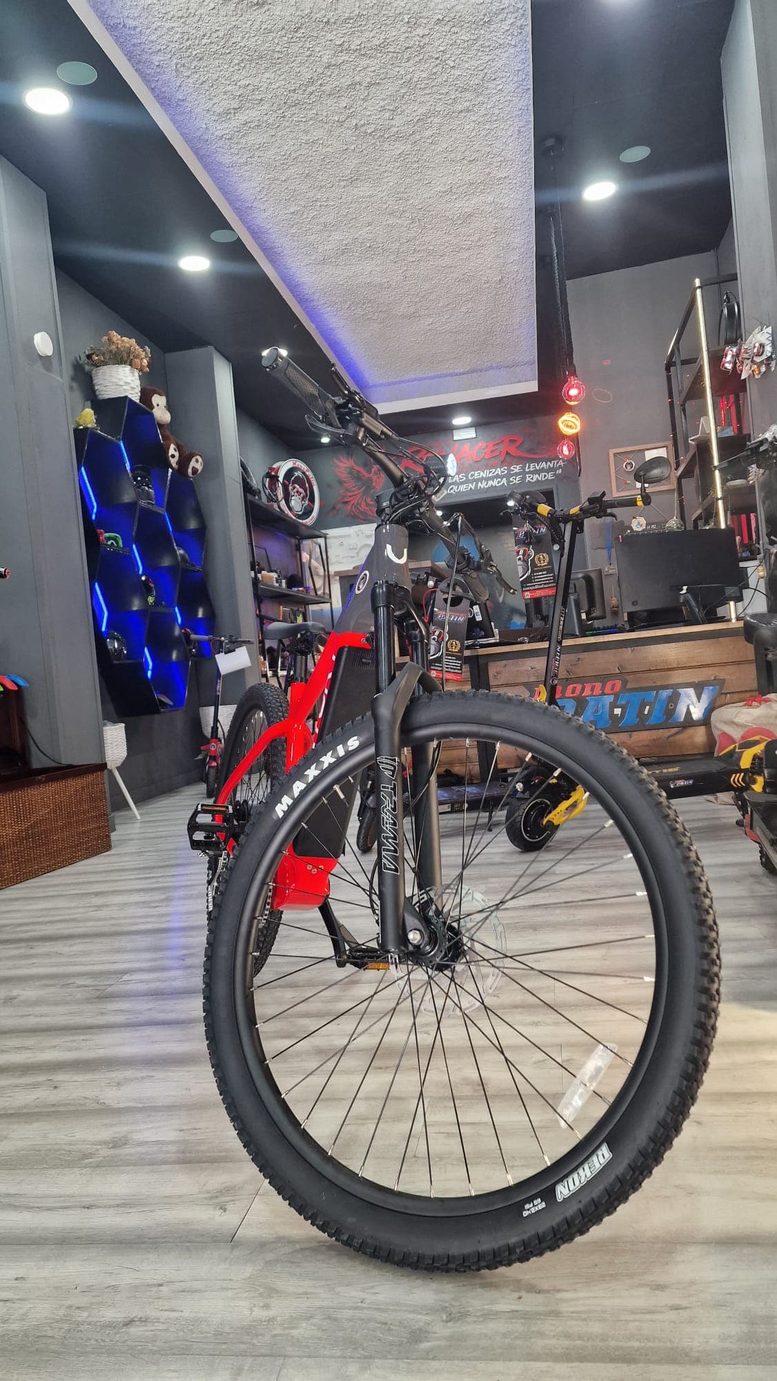 Equipo MonopatinShop