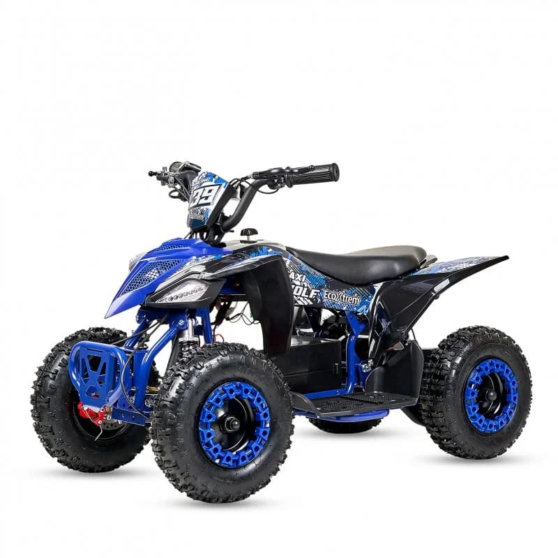 Mini Quad Infantil 1000w off road